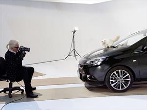 El calendario 2015 del Opel Corsa tiene a un gato como protagonista