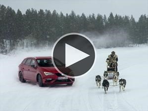 SEAT León Cupra vs trineo de perros ¿quién gana?