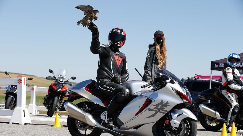 Suzuki Hayabusa mano a mano contra un halcón que vuela a 300 km/h