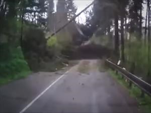 Video: Mirá el susto que se llevan en el bosque