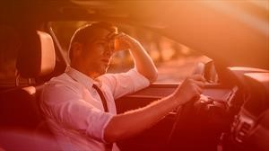 ¡Cuidado! En verano evita que tu auto se convierta en una trampa mortal