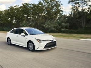 Toyota Corolla Hybrid, para seguir reinando