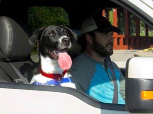 Ford presenta “Los perros pasean adentro”