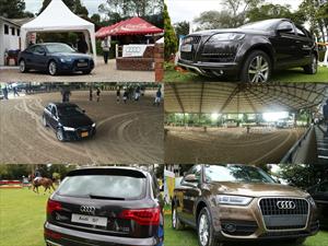 Audi Vs.Caballo, ¿quién ganó el duelo?