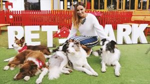 Jornada de adopción de mascotas en la vitrina de Nissan en Morato