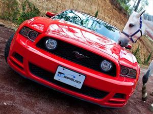 El Ford Mustang ya es una veterana estrella de cine