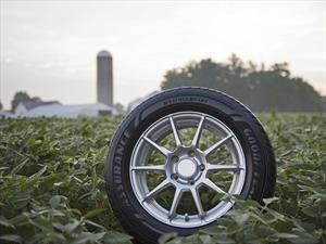 Econeumáticos: Goodyear desarrolla compuestos con soja