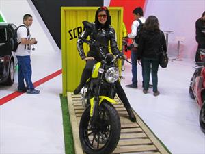 Ducati Scrambler, bálsamo sobre ruedas