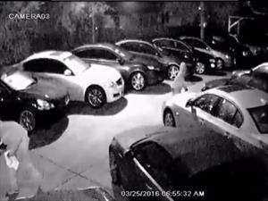 Roban ocho autos de un concesionario en Tampa Bay