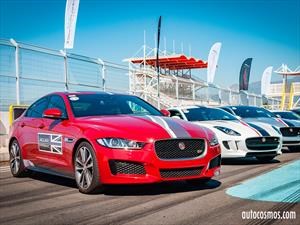 Jaguar estira sus piernas en el Autódromo de Codegua