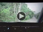Video: impecable campaña de seguridad vial