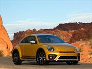 Volkswagen Beetle Dune, escarabajo off-road