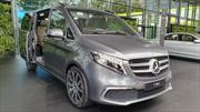 La Clase V de Mercedes-Benz se actualiza en Frankfurt