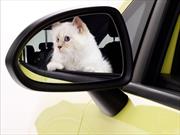 El calendario 2015 del Opel Corsa tiene a un gato como protagonista