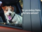 Renault dice presente en la DOGRUN