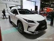 ¿Vuelve Lexus a Argentina?