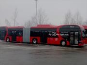 BYD, de a poco se va consolidando en Europa