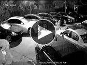 Roban ocho autos de un concesionario en Tampa Bay