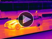 Video: Mirá estas picadas a través de una cámara térmica