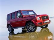 Un verdadero todoterreno: 40 años del Mercedes-Benz Clase G