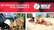 Nissan Colombia se solidariza con los animales abandonados en la cuarentena