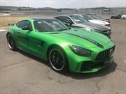 Mercedes-AMG Experience México 2018, un evento repleto de caballos de fuerza