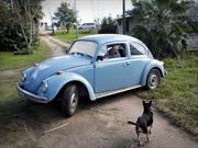 Ofrecen un millón de dólares por el Volkswagen Beetle de José Mujica