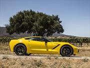 Recall a 46 unidades del Chevrolet Corvette Stingray