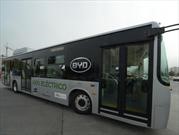 El Gobierno autoriza la importación de colectivos eléctricos