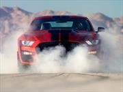 Conoce la historia del Ford Mustang Shelby GT500