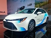 Toyota Corolla Hybrid 2020 es un líder con visión ecologista