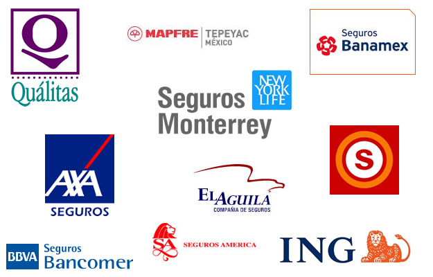 ¿Cómo elegir la mejor póliza de seguro?