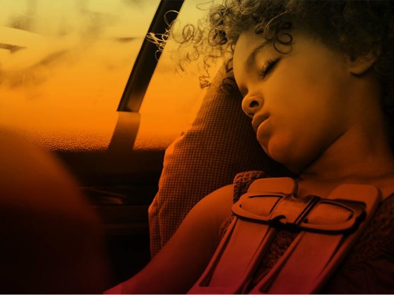 Evita que los niños se insolen al interior del carro