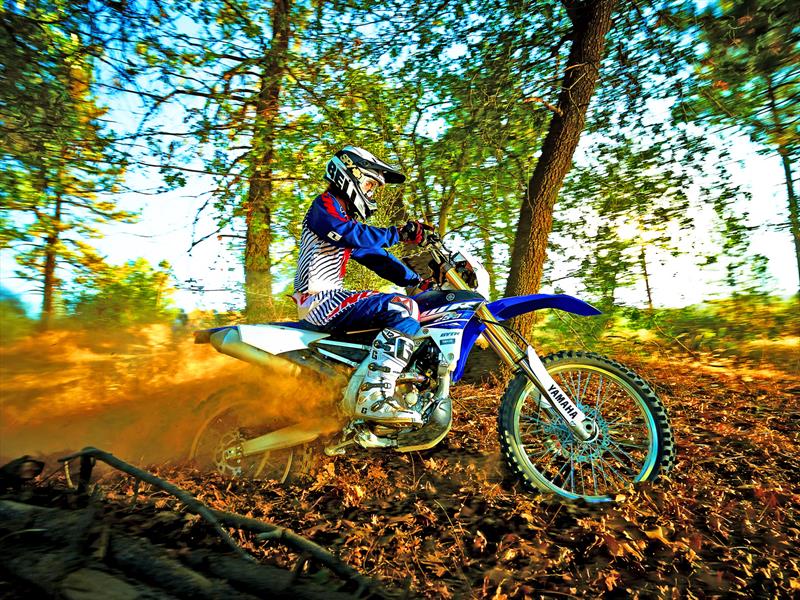 ������ ��� �������� ������ �� ������� ���� �������� ����������