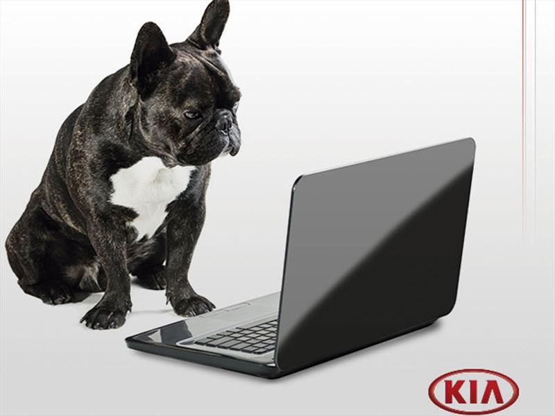 KIA Pet es la iniciativa que hará feliz a tu mascota