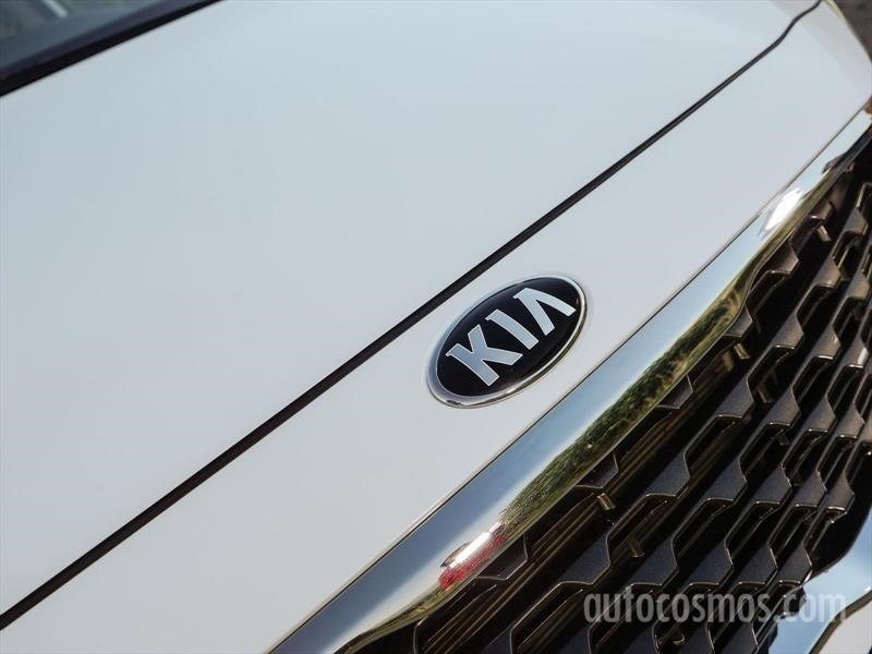 Las 10 marcas más vendidas en enero 2019