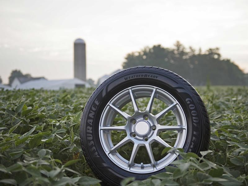 Ni milanesas ni tofu: Goodyear desarrolla neumáticos con soja